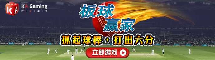 ka-cricket-winner-14